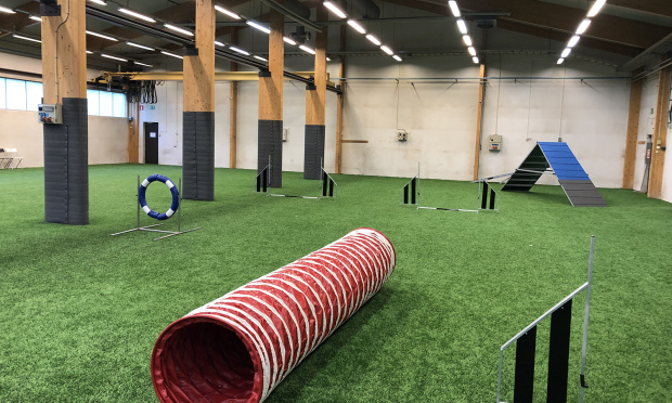 Agility tekonurmi Saltex koiraurheilu rallitassu
