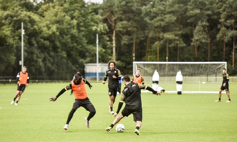 hybridgräs saltex